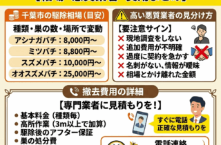 千葉市の蜂駆除業者の相場はいくら？高い・悪質業者を見分け方、蜂の巣の撤去費用