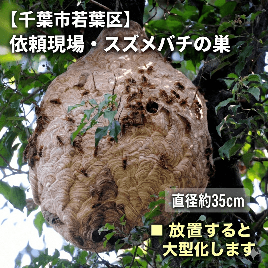 千葉市の住宅に作られたスズメバチの巣の例