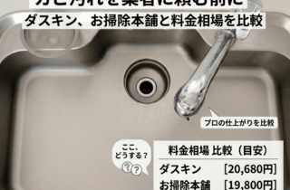 キッチンシンクの水垢・落ちないカビ汚れを業者に頼む前に｜ダスキン・お掃除本舗と料金相場を比較
