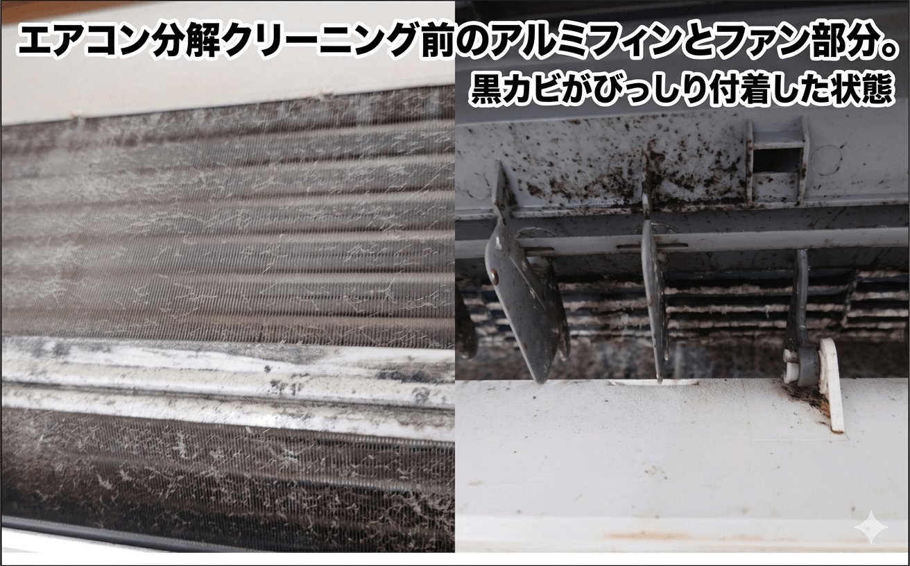 エアコン内部のカビの様子（フィンとファン）