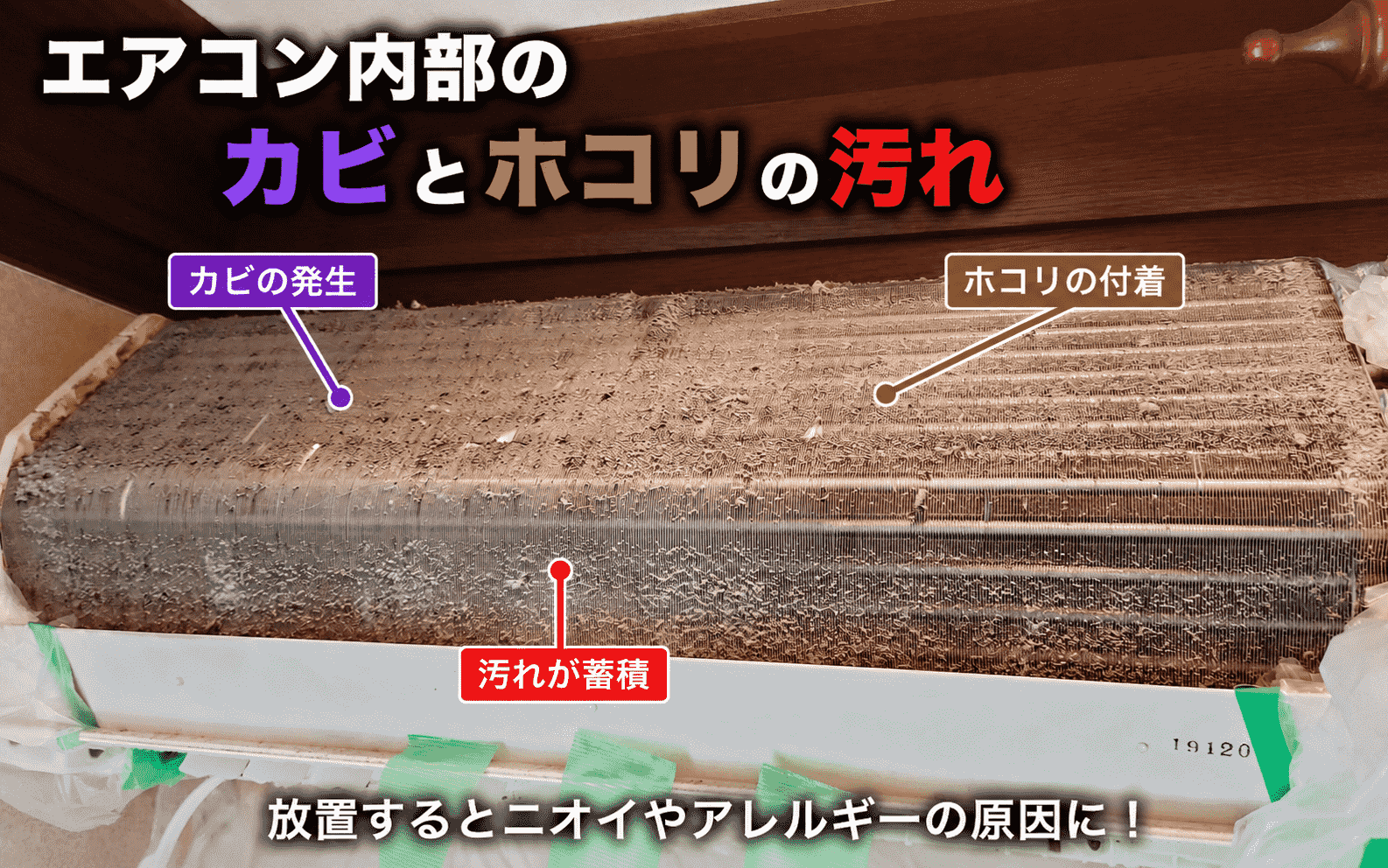 エアコン内部のカビとホコリの汚れ写真