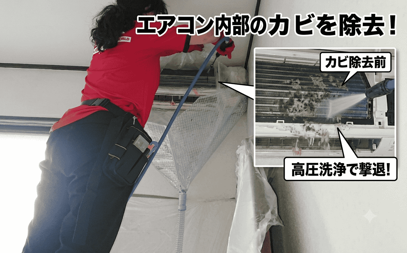 エアコン内部のカビ・シロッコファン洗浄の様子